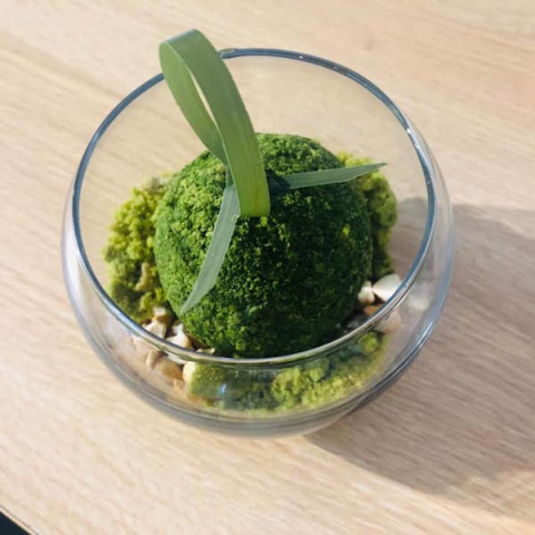 【Senchasou】Matcha Betsugi